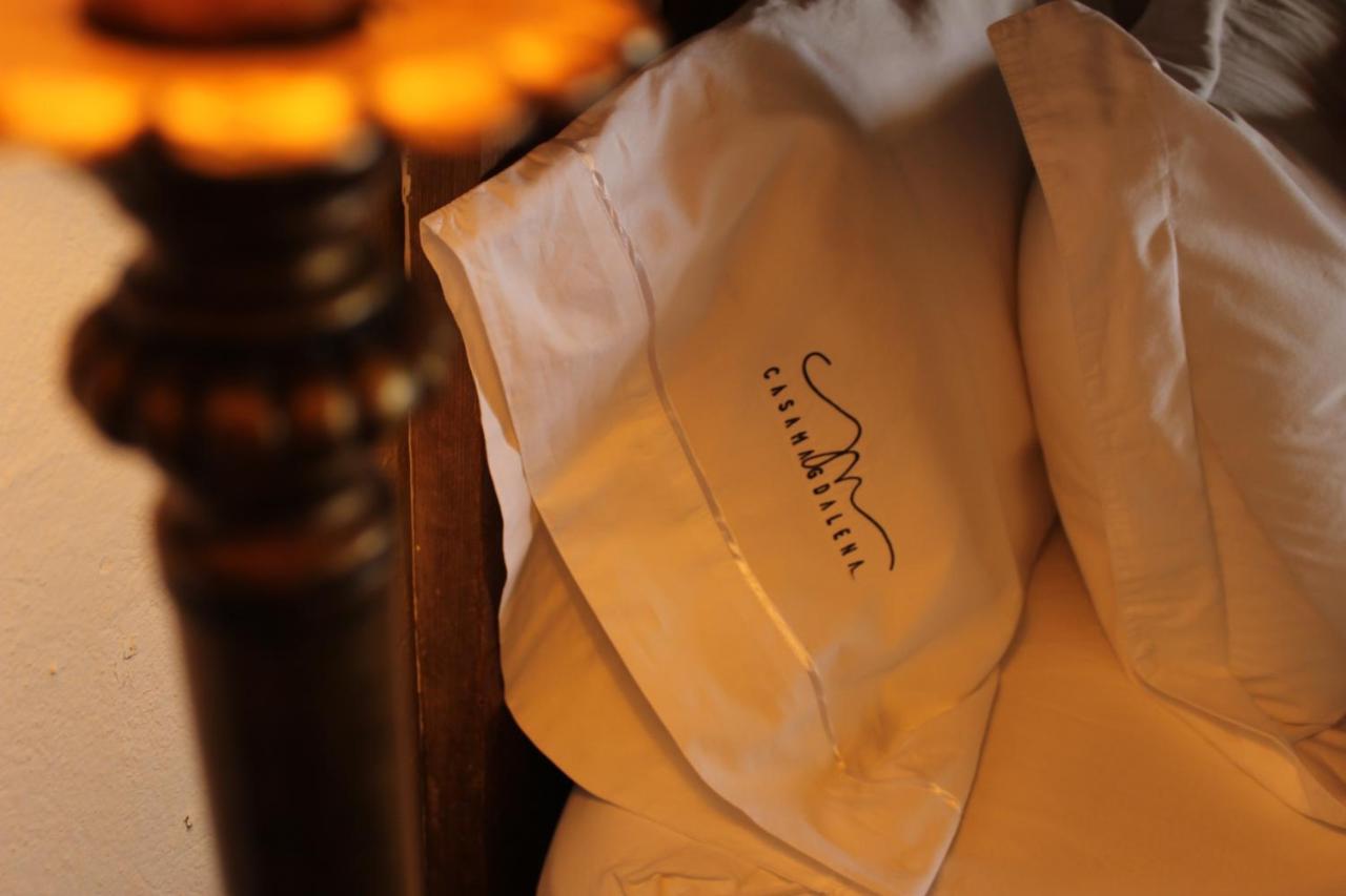 Casa Magdalena Hotel Boutique モレリア エクステリア 写真